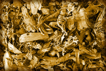 Similar image 391287