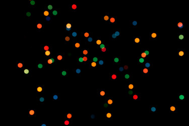 Similar image 391289