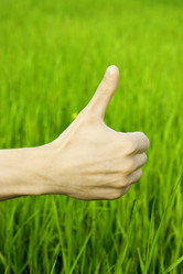 Similar image 391299