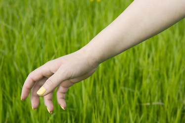 Similar image 391303