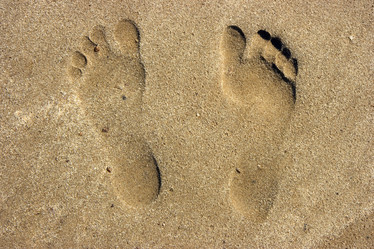 Similar image 391622