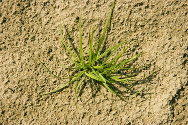 Similar image 391625