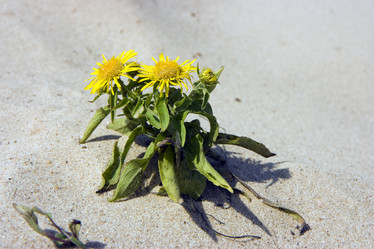 Similar image 391626