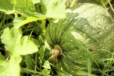 Similar image 391637