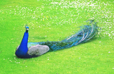 Similar image 391653