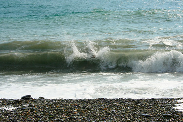 Similar image 391736