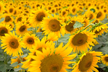 Similar image 391824