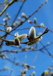 Similar image 391854