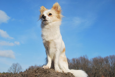 Similar image 391873