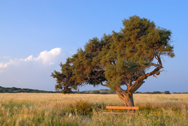 Similar image 391898