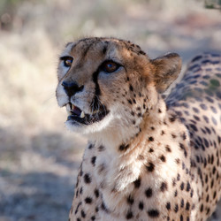 Similar image 392044