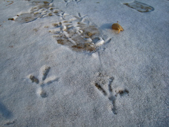 Similar image 392051