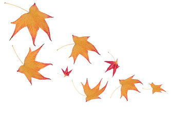 Similar image 392128