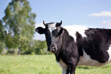 Similar image 392134