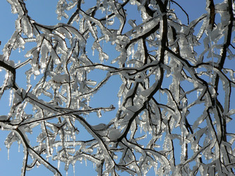 Similar image 392159