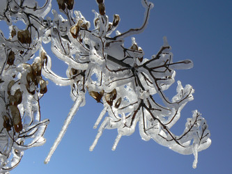 Similar image 392165