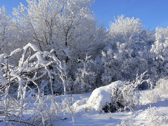 Similar image 392169