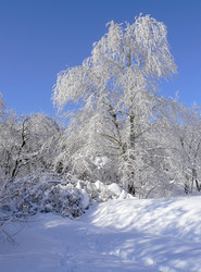 Similar image 392170