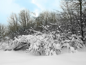 Similar image 392172