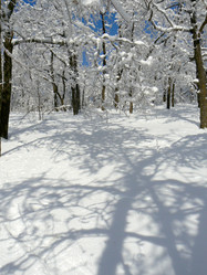 Similar image 392174