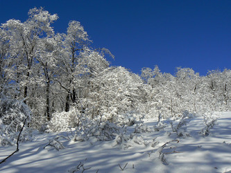 Similar image 392175