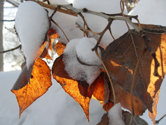 Similar image 392178