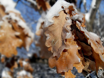 Similar image 392179