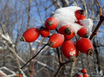 Similar image 392180