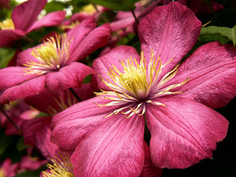 Similar image 392204