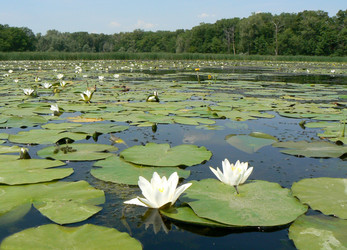 Similar image 392213