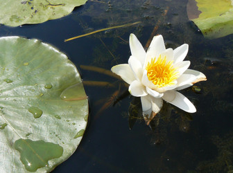 Similar image 392214