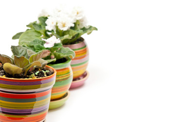 Similar image 392221