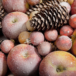 Similar image 392229