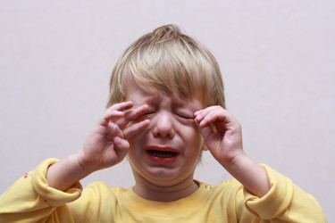 Similar image 392250