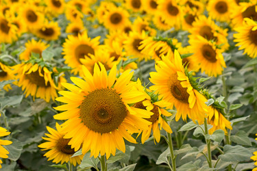 Similar image 392263