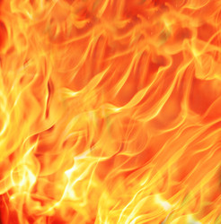 Similar image 392342