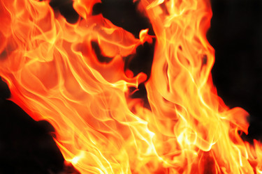 Similar image 392344