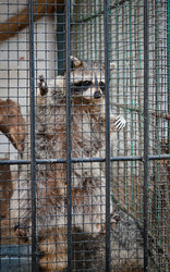 Similar image 392350