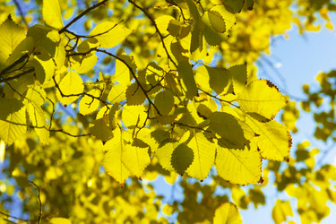 Similar image 392373