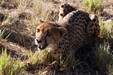 Similar image 392426