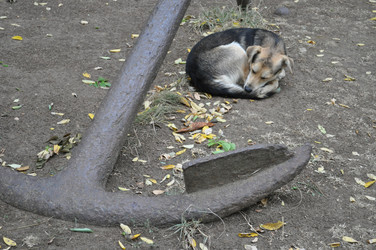 Similar image 392523