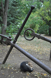 Similar image 392527