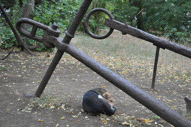 Similar image 392528