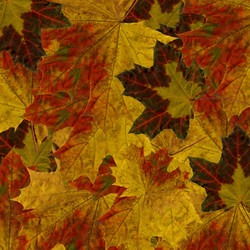 Similar image 392580