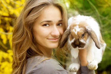 Similar image 392709