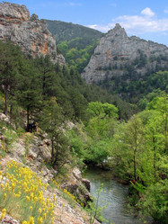 Similar image 392718