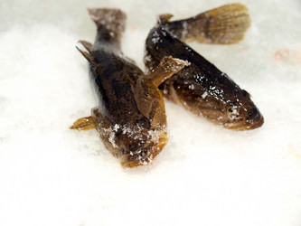 Similar image 392767