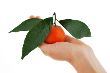 Similar image 392803