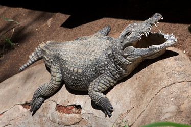 Similar image 392817