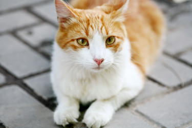 Similar image 392833